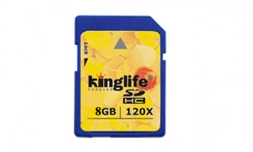 KingLife SD 8GB